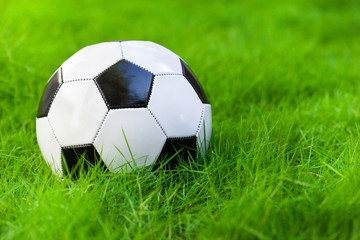 Soccer ball on grass