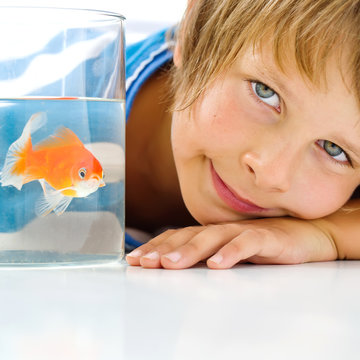 Little Boy And Golden Fish 