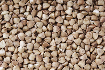 buckwheat closeup background
