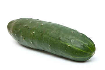 gros cornichon sur fond vblanc