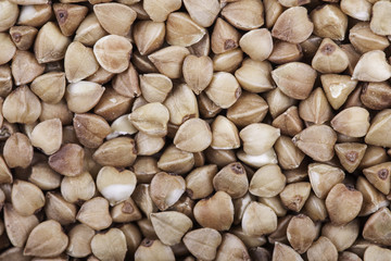 buckwheat closeup background