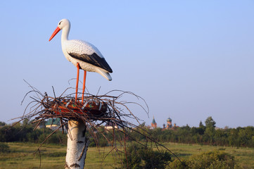 Artificial stork in the countryside