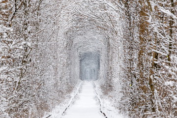 Fototapeta premium Klevan's tunnel of love after heavy snowfall in winter.