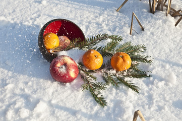 still life of apples and oranges on a lake in the winter