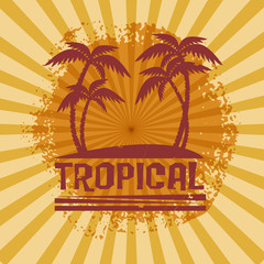 Palm trees, tropical symbol