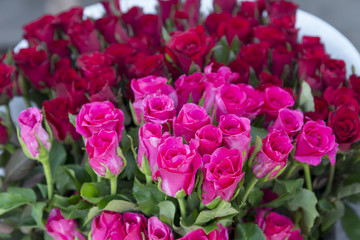 rose and red rose in bucket at flower shop