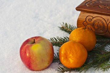 still life of apples and oranges on a lake in the winter