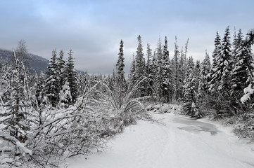 Winter in Alaska