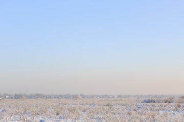 snow-covered field with grass