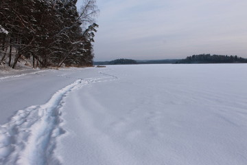 Побережье зимнего озера