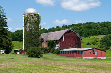 Rustic red barn during Spring in New York © tammykayphoto