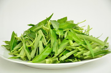 water spinach isolated on white background