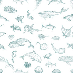 The seamless pattern of marine animals.