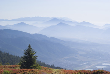 Views of Tatra mountain peaks from Mala Fatra