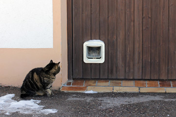 Katzenklappe - Eine Haustür für Katzen
