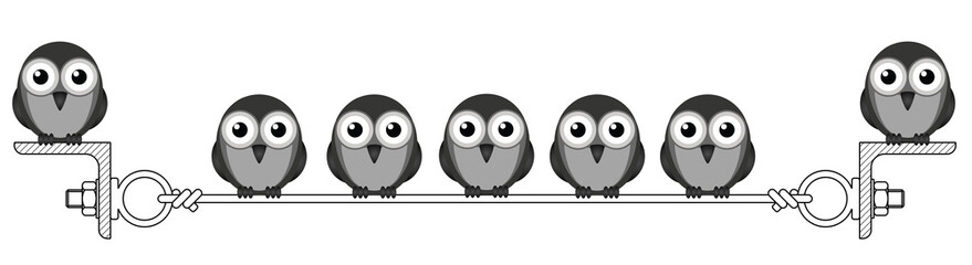 Flock of birds roosting on a steel wire 