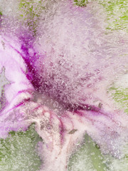 beautiful abstraction with pink delicate flower