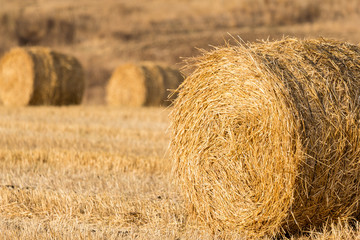 Straw bales at sunset

