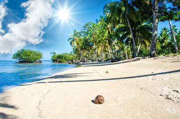Traumurlaub an einem einsamen Strand in der Karibik :)