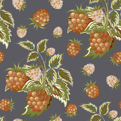 Hand painted pattern of pastel brown raspberry on gray backdrop. Fruit seamless background for menu and desserts, restaurants and cafes, wallpaper etc.