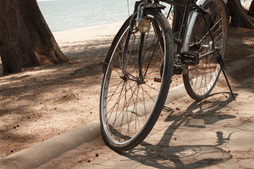 Fototapeta na wymiar bicycle park at the sea