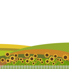 Colorful Fields With Sunflowers And White Fence