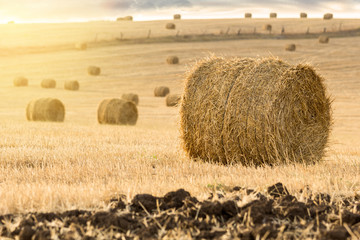 Straw bales at sunset

