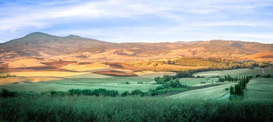 Agricultural tuscan scenery