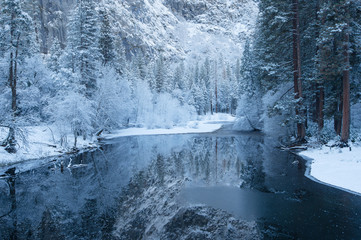 winter reflection of the trees in yosemite national park