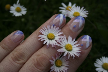Nail art with daisies