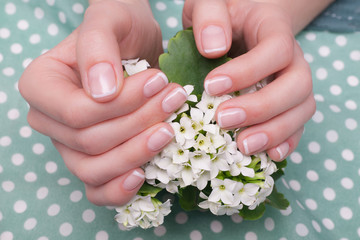 Closeup photo of a beautiful female hands holding bouquet of flowers in the hands