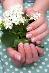 Closeup photo of a beautiful female hands holding bouquet of flowers in the hands
