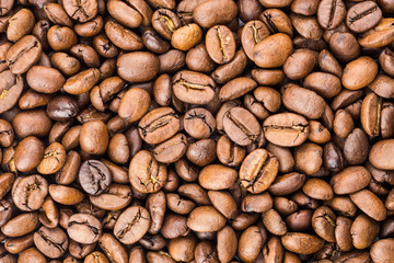 Roasted coffee beans