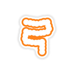 paper sticker on white background human intestine