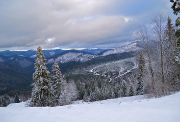 Fototapeta na wymiar Carpathian Mountains in winter