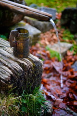 Obraz premium source of spring water flowing in the mountain