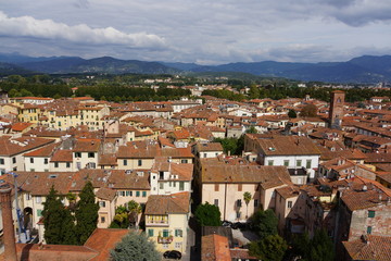 Blick vom Torre Guinigi über Lucca