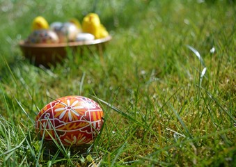 Easter Egg on a green grass