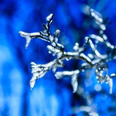 winter background - frozen icy twig mysterious background. Very shallow depth of field