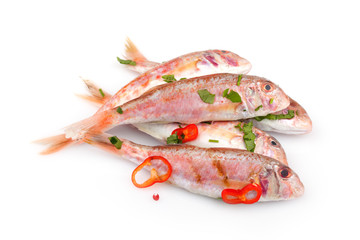 Raw Red Mullet Fish