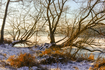 Winterlandschaft - Potsdam