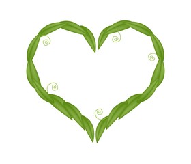 Fresh Green Leaves in A Heart Shape