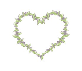 Obraz premium Fresh Acanthaceae Plants in A Heart Shape