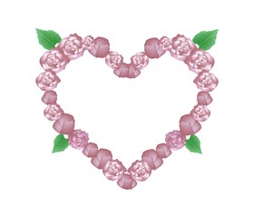 Pink Glory Bower Flowers in Heart Shape