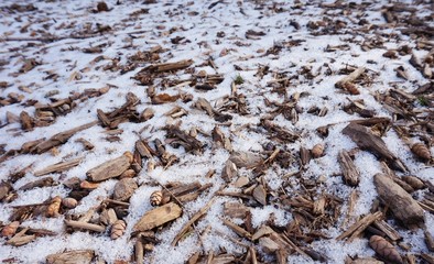 Ground mulch and wood chips covered with snow in winter