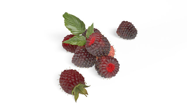 Raspberries with green leaves, berries isolated on white background