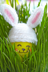 Fototapeta premium Cute egg in bunny hat on green grass