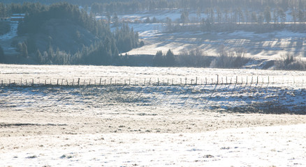 sun light the snow feild