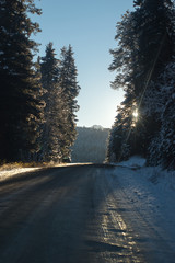 urban side road morning view winter