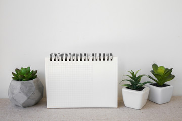 Notepad and succulents pots, room interior mockup, copy space ba